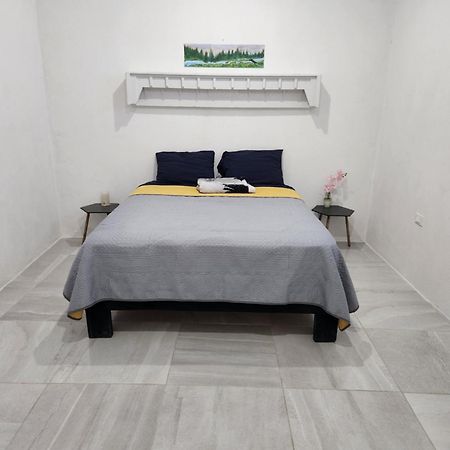 과나후아토 Casa De Linda Vista 아파트 외부 사진